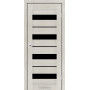 Двері міжкімнатні Dela (BLK) Stil Doors